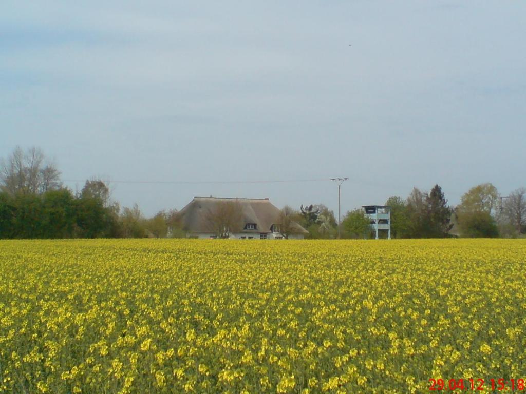 Landhotel Teichwiesenhof, Bed&Breakfast Oldenburg in Holstein Bagian luar foto